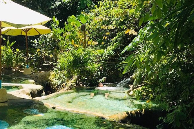 Emerald Pool: Jungle Tour, Private Full Day with Lunch - Price of $170.23 per person: what you are paying for and what you get