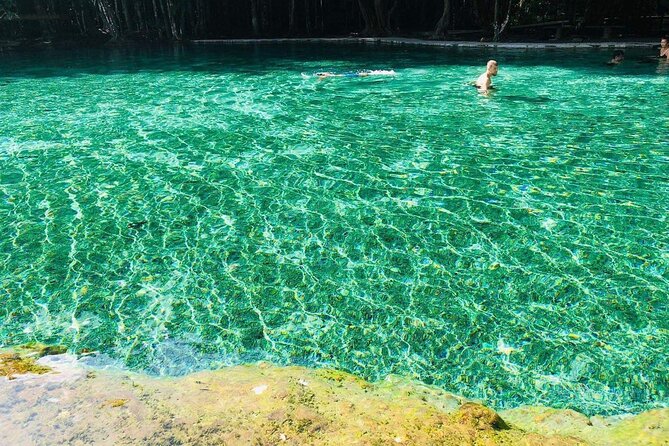 Emerald Pool: Jungle Tour, Private Full Day with Lunch - What to bring and how to handle the physical parts