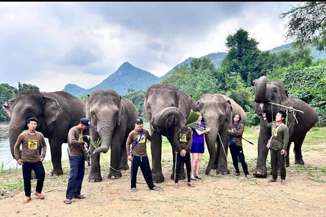 Erawan Waterfall and Elephant care from Bangkok -Private Tour - Erawan Waterfall Swimming Through Seven Emerald Levels