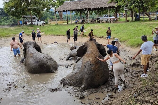 Erawan Waterfall and Elephant care from Bangkok -Private Tour - Leaving Erawan at 16:00, Back to Bangkok by 19:30