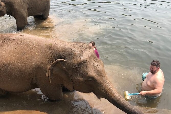 Erawan Waterfall and Elephant care from Bangkok -Private Tour - Price and Value for a Private Bangkok-to-Elephants-and-Falls Day