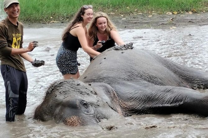 Erawan Waterfall and Elephant care from Bangkok -Private Tour - Who This Tour Fits Best, and Who Might Want Another Plan