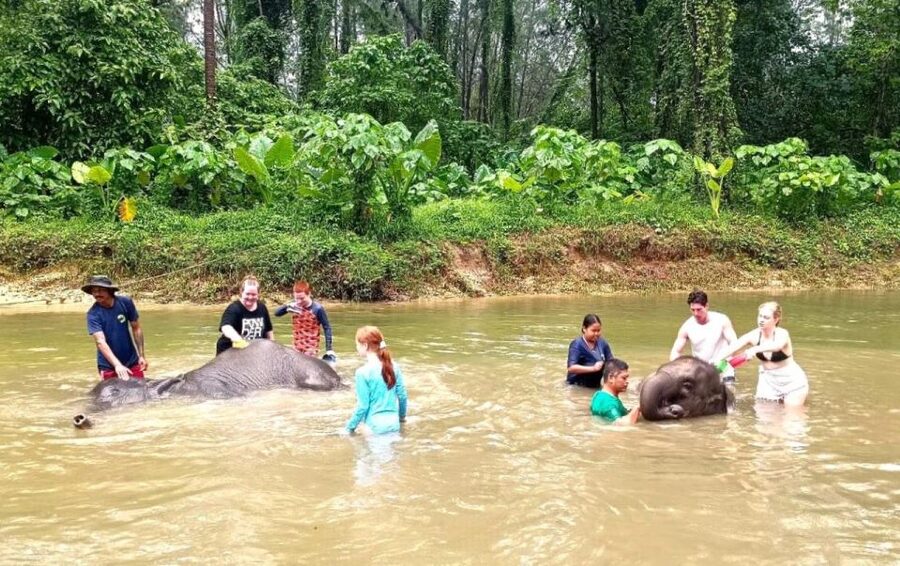 Ethical Elephant Sanctuary Experience in Khao Lak - Key Points You’ll Care About in Khao Lak