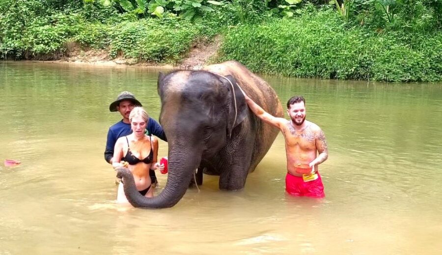Ethical Elephant Sanctuary Experience in Khao Lak - Hotel Pickup and the Drive Toward a Quieter Visit