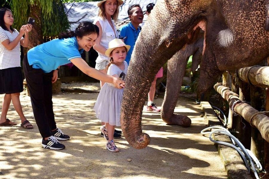 Ethical Elephant Sanctuary Experience in Khao Lak - Pre-Meeting Activity: Preparing an Herbal Elephant Health Supplement