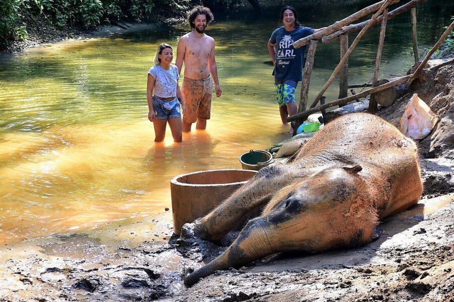 Ethical Elephant Sanctuary Experience in Khao Lak - Meeting the Elephants as Individuals, With Mahout Stories