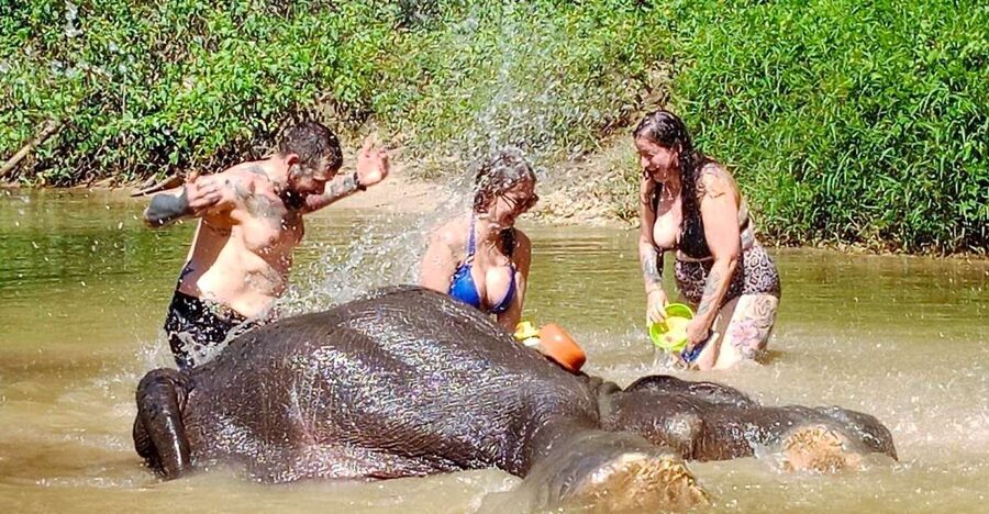 Ethical Elephant Sanctuary Experience in Khao Lak - The Observation Walk: Following, Not Leading
