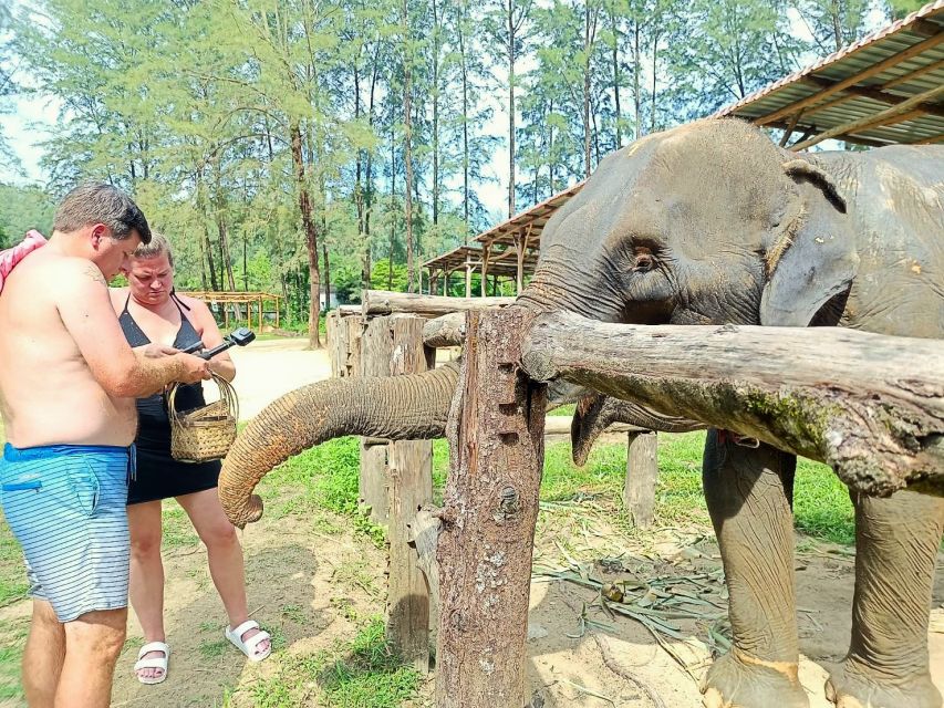 Ethical Elephant Sanctuary Experience in Khao Lak - Creek Time and Mud Baths: Elephant-Led Watching From a Platform