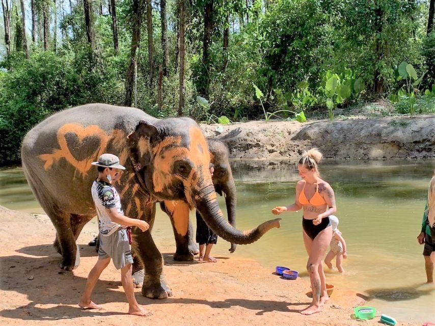 Ethical Elephant Sanctuary Experience in Khao Lak - The 3-Hour Schedule: How the Day Actually Moves