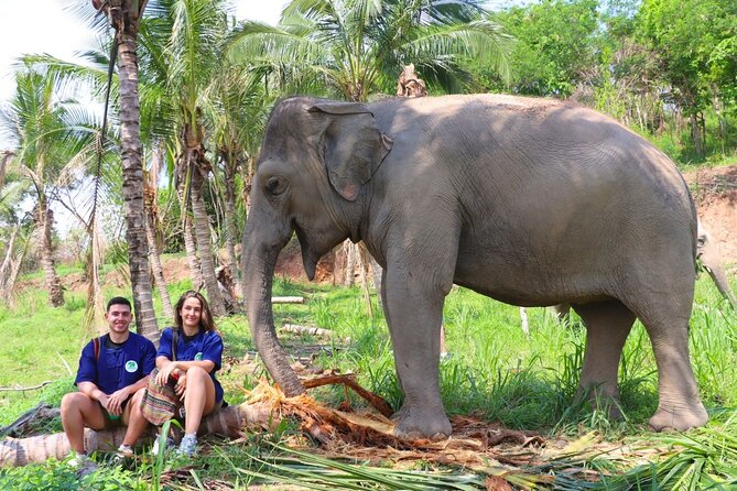 Ethical Elephant Sanctuary Tour from Bangkok & Pattaya - Key things to know before you go
