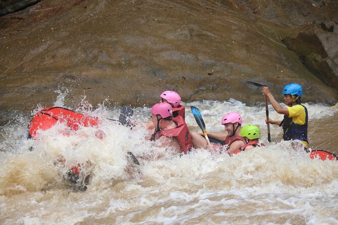 Ethical Elephant Visit and White Water Rafting in Chiang Mai - Key highlights you’ll care about