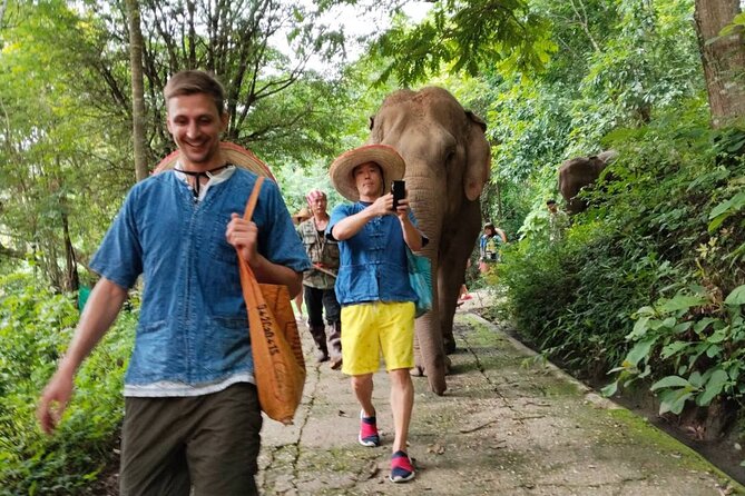 Ethical Elephant Visit and White Water Rafting in Chiang Mai - Who Should Book This Chiang Mai Day (And Who Should Skip It)