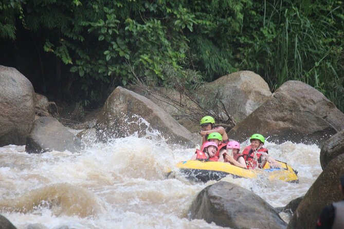 Ethical Elephant Visit and White Water Rafting in Chiang Mai - Mae Taeng River Rafting: Scenic Runs and Real-Time Adventure