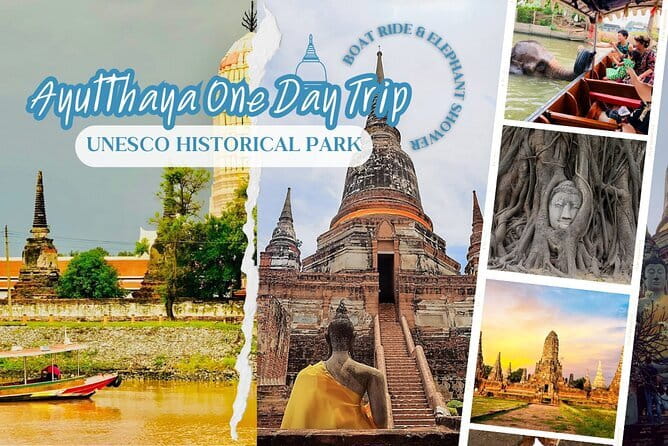 Ethical Elephant Watching Tour From Bangkok & Pattaya - Feeding, bathing, and walking: the hands-on part you will remember