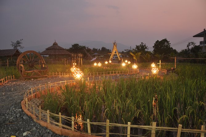 Evening Cooking Class in Organic Farm with Local Market Tour - A 3:30 pm schedule that makes your evening feel organized