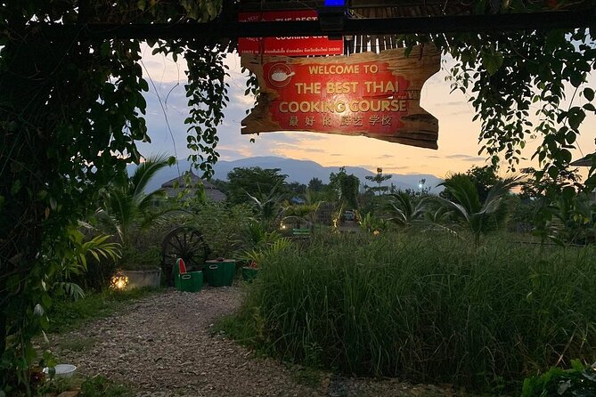 Evening Cooking Class in Organic Farm with Local Market Tour - Who this Thai cooking class is best for