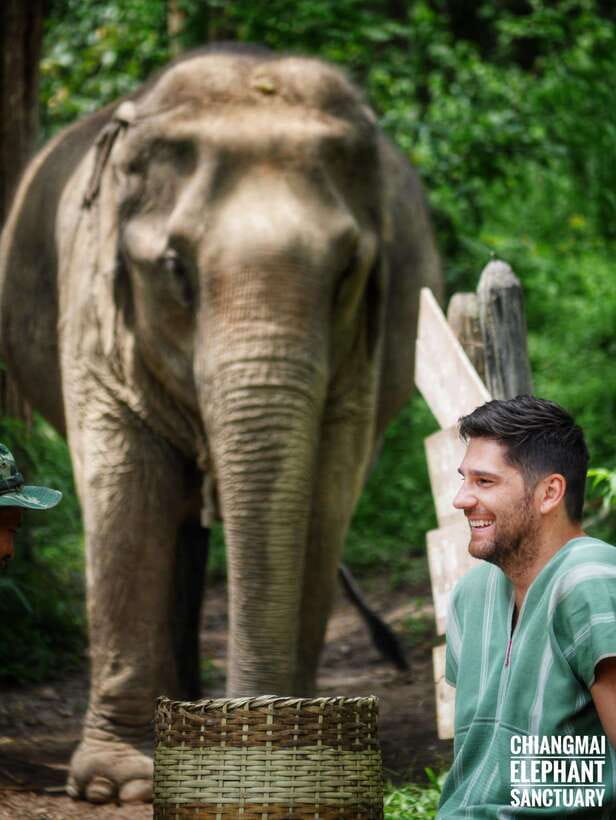 Exclusive experience half day with family giant animals - Key things to know before you go