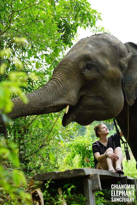 Exclusive experience half day with family giant animals - Hotel pickup to sanctuary roads: start times and what the drive is like