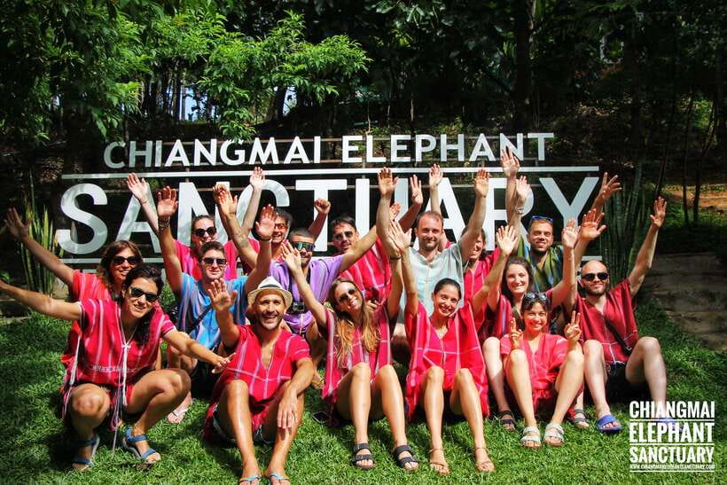 Exclusive experience half day with family giant animals - Lunch after the splash: traditional Thai food that helps you recover