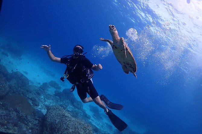 Explore Scuba Diving at Racha Yai Island from Phuket - Key Highlights You Will Actually Care About