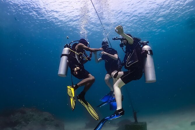 Explore Scuba Diving at Racha Yai Island from Phuket - What You Might See: Fish, Coral, and Occasional Structure Features