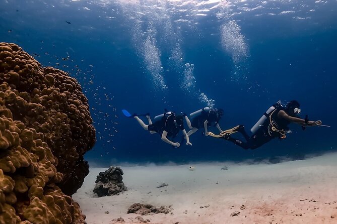 Explore Scuba Diving at Racha Yai Island from Phuket - PADI Discover Scuba Diver Course, Basic Skills First