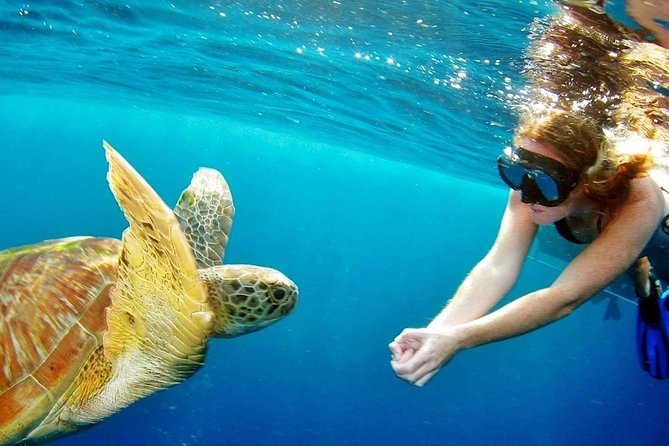 Explore Surin Islands: Ultimate Snorkeling Day Trip from Phuket - Key takeaways before you snorkel Surin