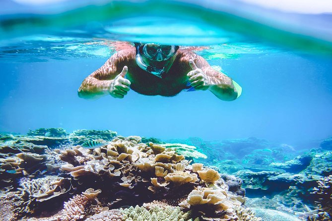 Explore Surin Islands: Ultimate Snorkeling Day Trip from Phuket - Why Surin Islands feels worth the effort from Phuket