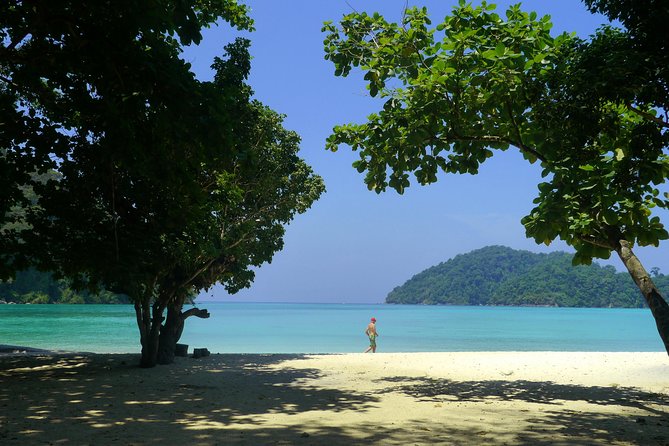 Explore Surin Islands: Ultimate Snorkeling Day Trip from Phuket - Stop 1: Surin Beach and Nemo Bay, where you get real reef time