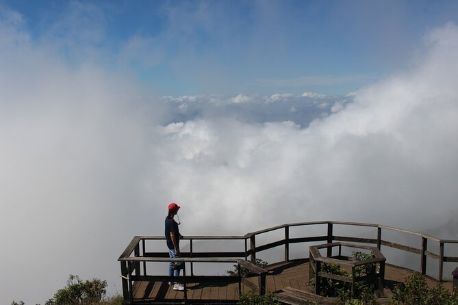 Fantastic! Famous Doi Inthanon National park tour with 2hr trekking - Price and value: what $50.64 actually covers