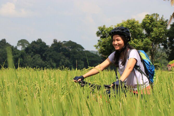 FIELDS OF GOLD Mountain Biking Tour Chiang Mai - Your KONA Blast Trail and the Safety Gear That Matters