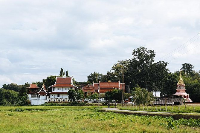 FIELDS OF GOLD Mountain Biking Tour Chiang Mai - Riding the Farms and Rice Fields: Why This Route Feels Local