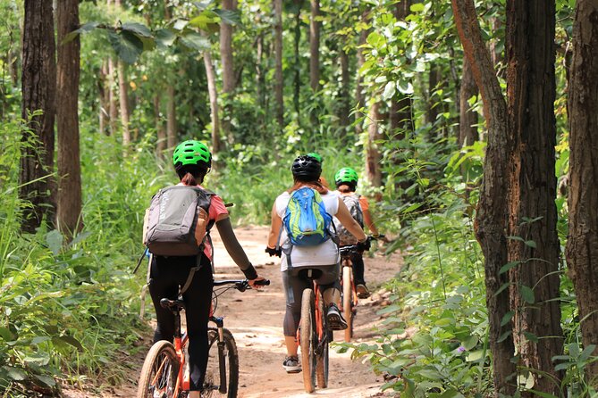 FIELDS OF GOLD Mountain Biking Tour Chiang Mai - Stop 2 at the Trailhead: Coffee Time and a Soft Landing Back Into Riding