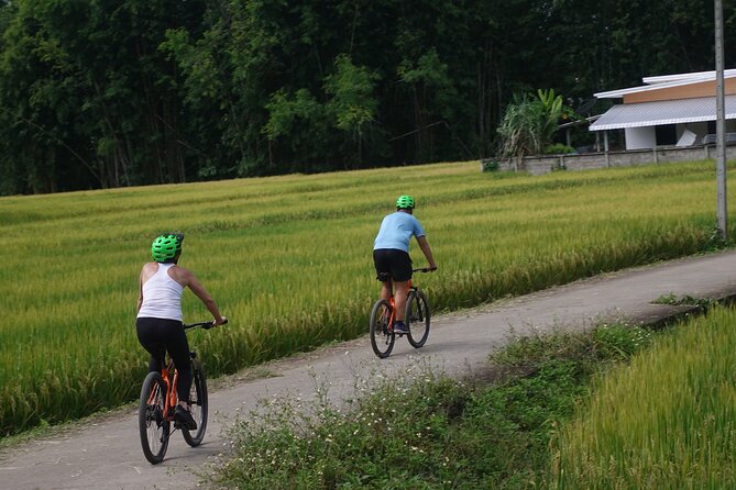 FIELDS OF GOLD Mountain Biking Tour Chiang Mai - How Much Effort Is 40-57 Miles, Really?