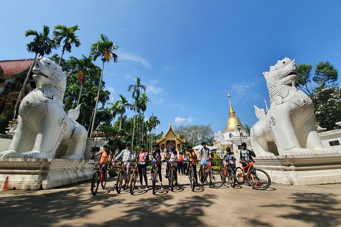 FIELDS OF GOLD Mountain Biking Tour Chiang Mai - Value Math: Why $66.63 Can Actually Make Sense