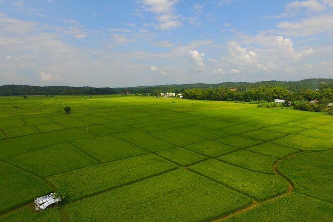 FIELDS OF GOLD Mountain Biking Tour Chiang Mai - Hotel Pickup, a 5-Rider Max, and a Calm Start at 8:30