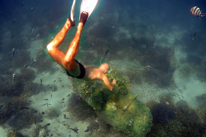 Freedive trip Koh Kood or Koh Rang National Park ( start at Ko Kut) - Why start at Ko Kut, Bang Bao Beach, at 9:00 am?