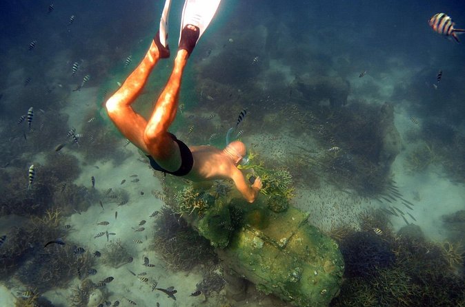 Freedive trip Koh Kood or Koh Rang National Park ( start at Ko Kut) - Should you book this freedive trip starting from Ko Kut?