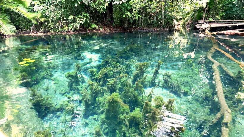 From Ao Nang: Kayaking at Klong Rud with Hotel Transfers - Eco-friendly in practice, not just on paper