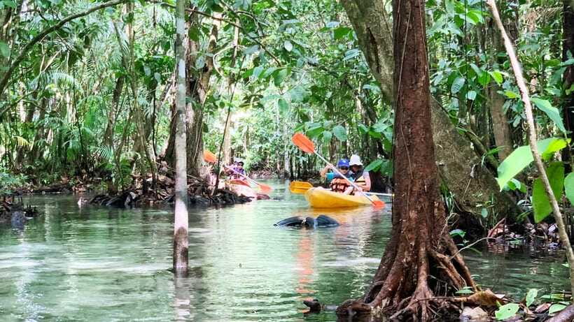 From Ao Nang: Kayaking at Klong Rud with Hotel Transfers - What to bring, and what rules to follow on the water