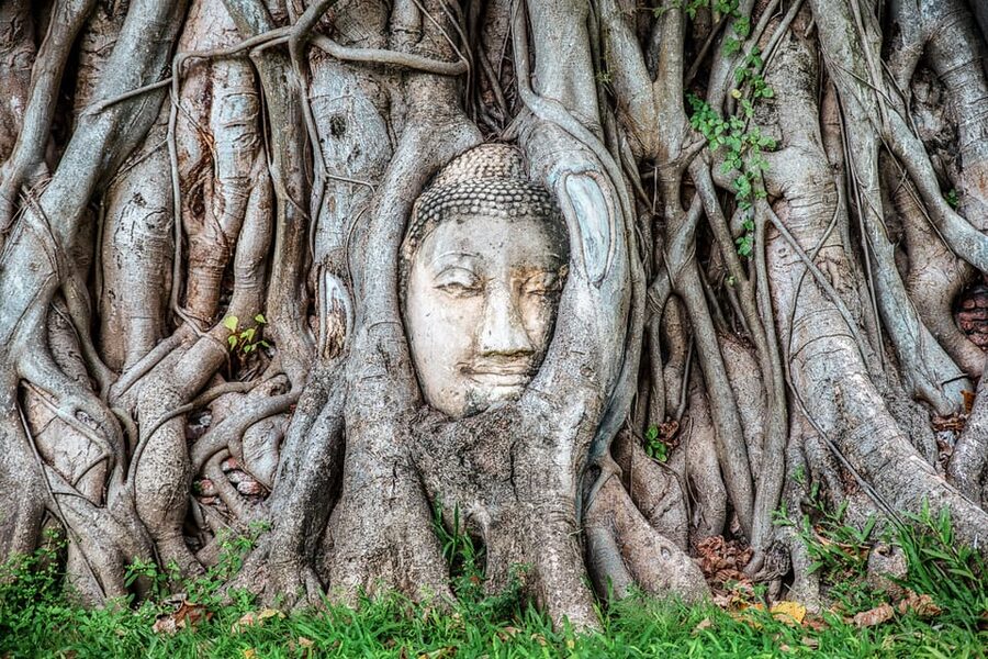 From Bangkok: Ayutthaya & Ayothaya Floating Market Day Trip - Wat Yai Chaimongkhon: the 600-year-old opening built by King U-Thon