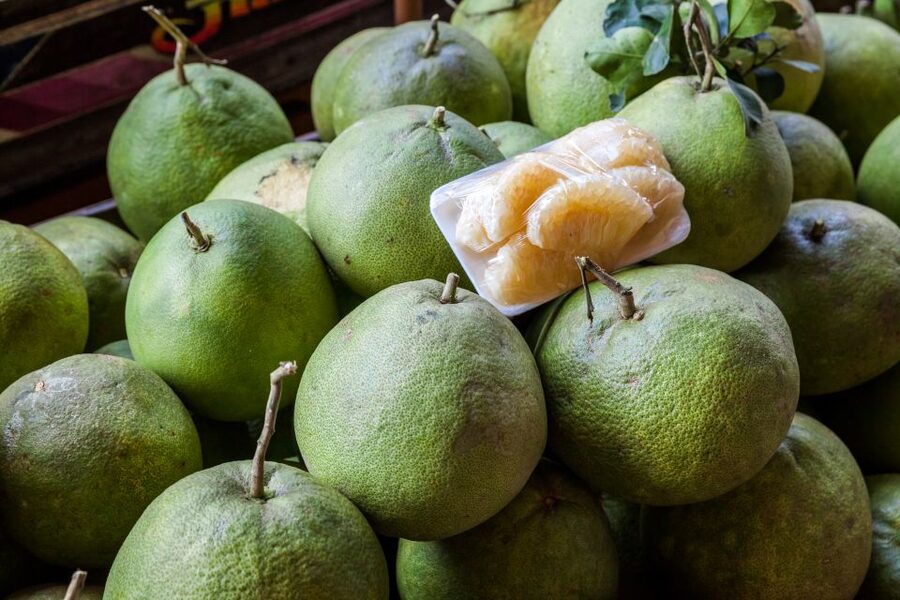 From Bangkok: Damnoen Saduak Floating Market Guided Tour - Guides, Small Groups, and the Comfort Factor on the Road