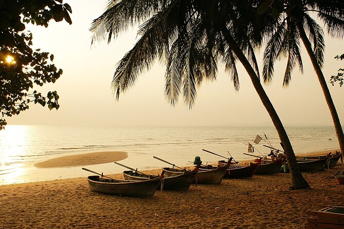 From Bangkok: Full Day Customizable Private Tour to Pattaya City - Transport Quality and Driver/Guide Roles