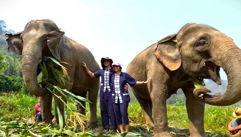 From Chiang Mai: Chiang Mai Elephant Care Morning Program - Lunch after elephant care, then back to Chiang Mai