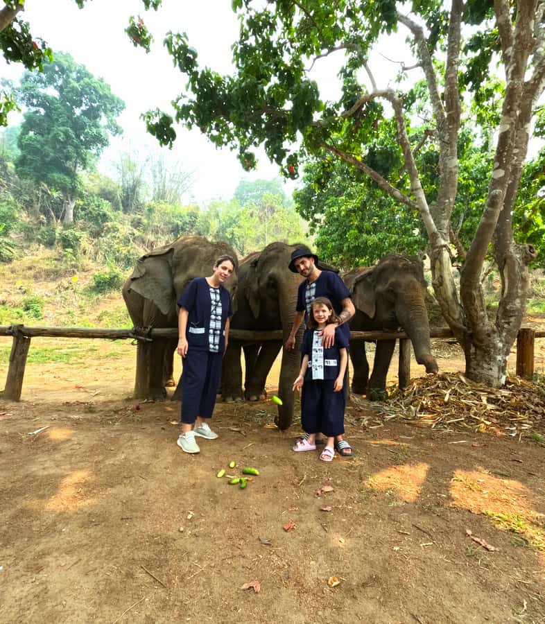 From Chiang Mai: Chiang Mai Elephant Care Morning Program - Price and value: what $54 buys you