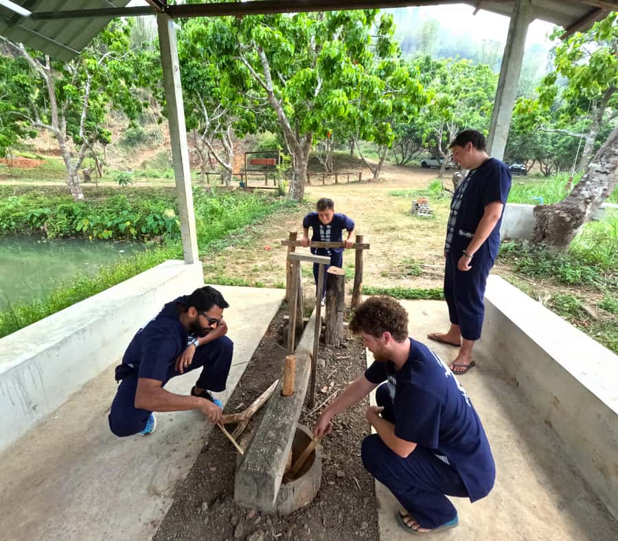 From Chiang Mai: Chiang Mai Elephant Care Morning Program - Who this elephant care morning program fits best