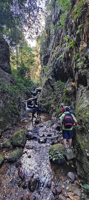 From Chiang Mai: Doi Saket Hiking Tour with Lunch - Key Things I’d Book This For