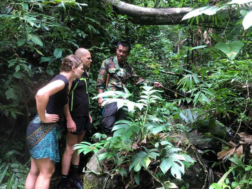 From Chiang Mai: Doi Saket Hiking Tour with Lunch - Getting From Chiang Mai to Doi Saket, Without Wasting Your Day