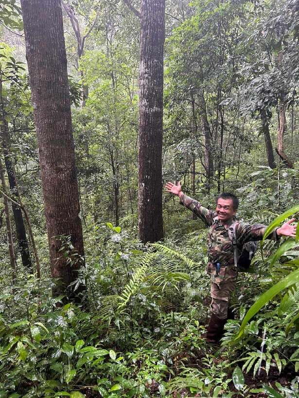 From Chiang Mai: Doi Saket Hiking Tour with Lunch - The Main Event: A 5-Hour Jungle Trek With Real Obstacles