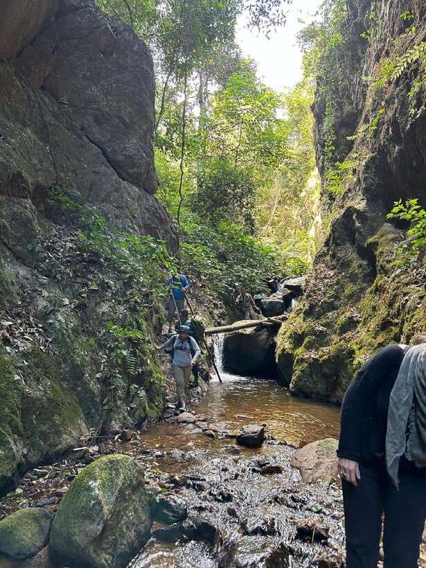 From Chiang Mai: Doi Saket Hiking Tour with Lunch - Ancient Trees, Steep Bits, and Stops That Make the Trek Worth It